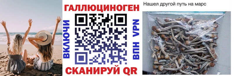 где найти наркотики  Липки  Псилоцибиновые грибы мицелий 